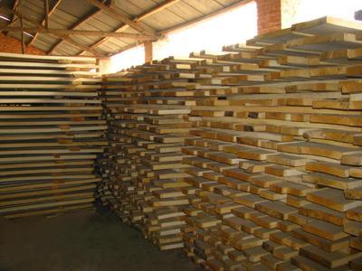 白椿木烘干板批发 木料和胶合板